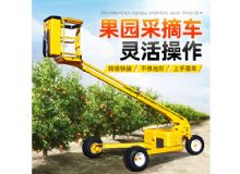 點(diǎn)擊查看詳細(xì)信息<br>標(biāo)題：果園采摘車(chē) 閱讀次數(shù)：256